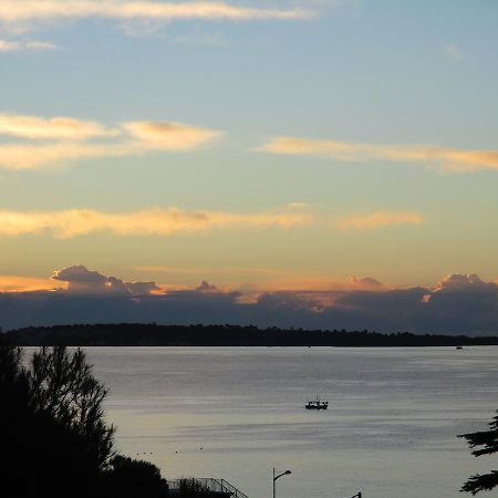 Beau 2 Pieces 3 Etoiles Vue Mer Garage Prive 150M Plages Wifi Cannes Eksteriør bilde