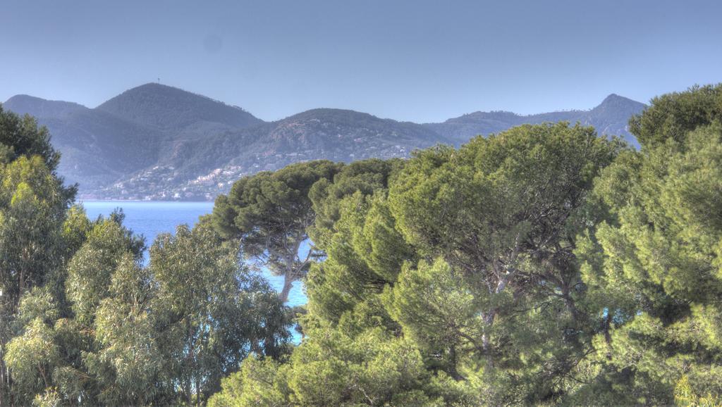 Beau 2 Pieces 3 Etoiles Vue Mer Garage Prive 150M Plages Wifi Cannes Eksteriør bilde